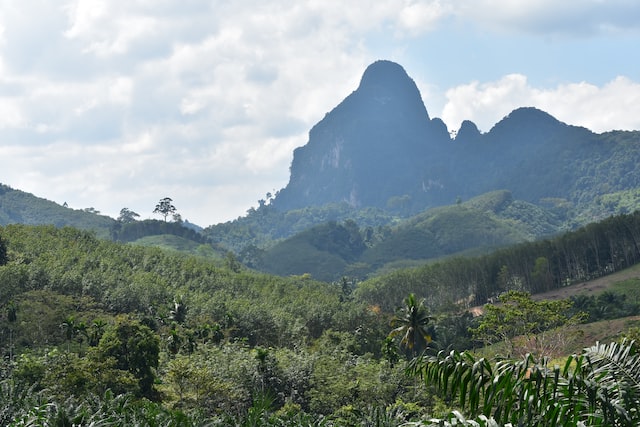 Khao Sok National Park: Thailand’s Hidden Oasis